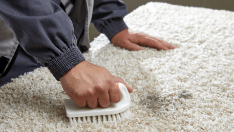 Professional Rug Cleaning Fyansford